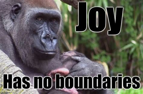 funny joy memes